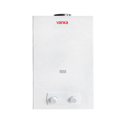 10L Flue Type Instant Gas Water Heater Factory Direct Supply