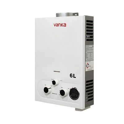 6L Flue Type Tankless Gas Water Heater with Instant Hot Water